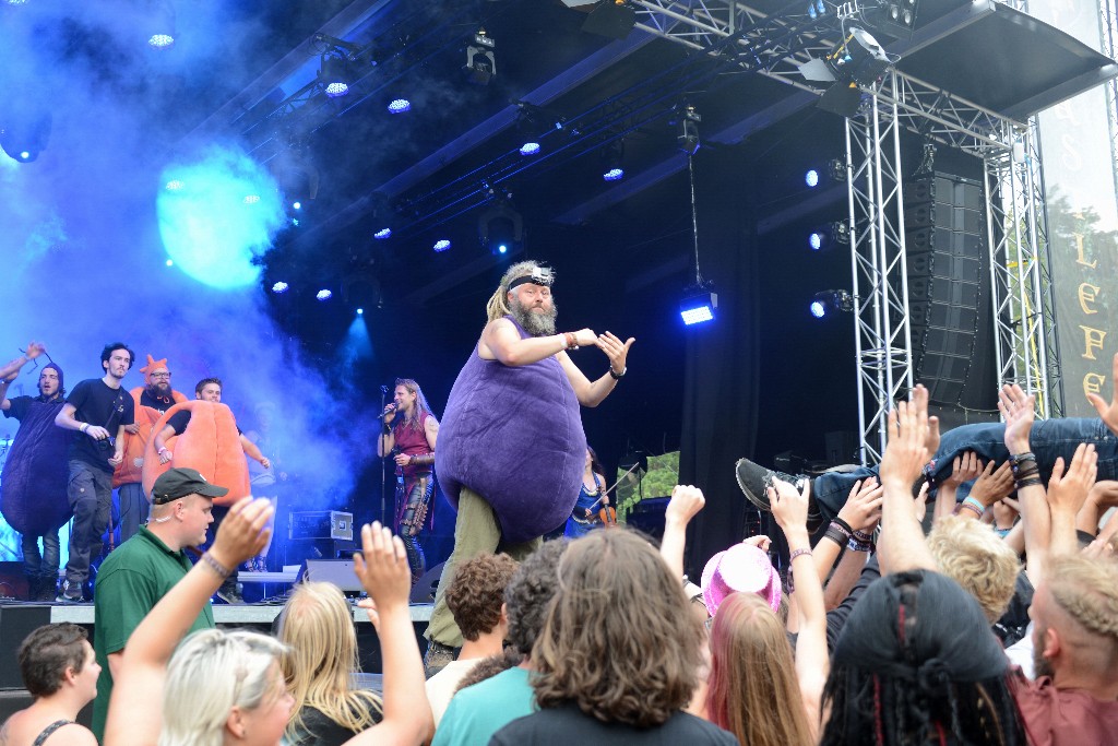 ../Images/Castlefest 2016 Zondag 267.jpg